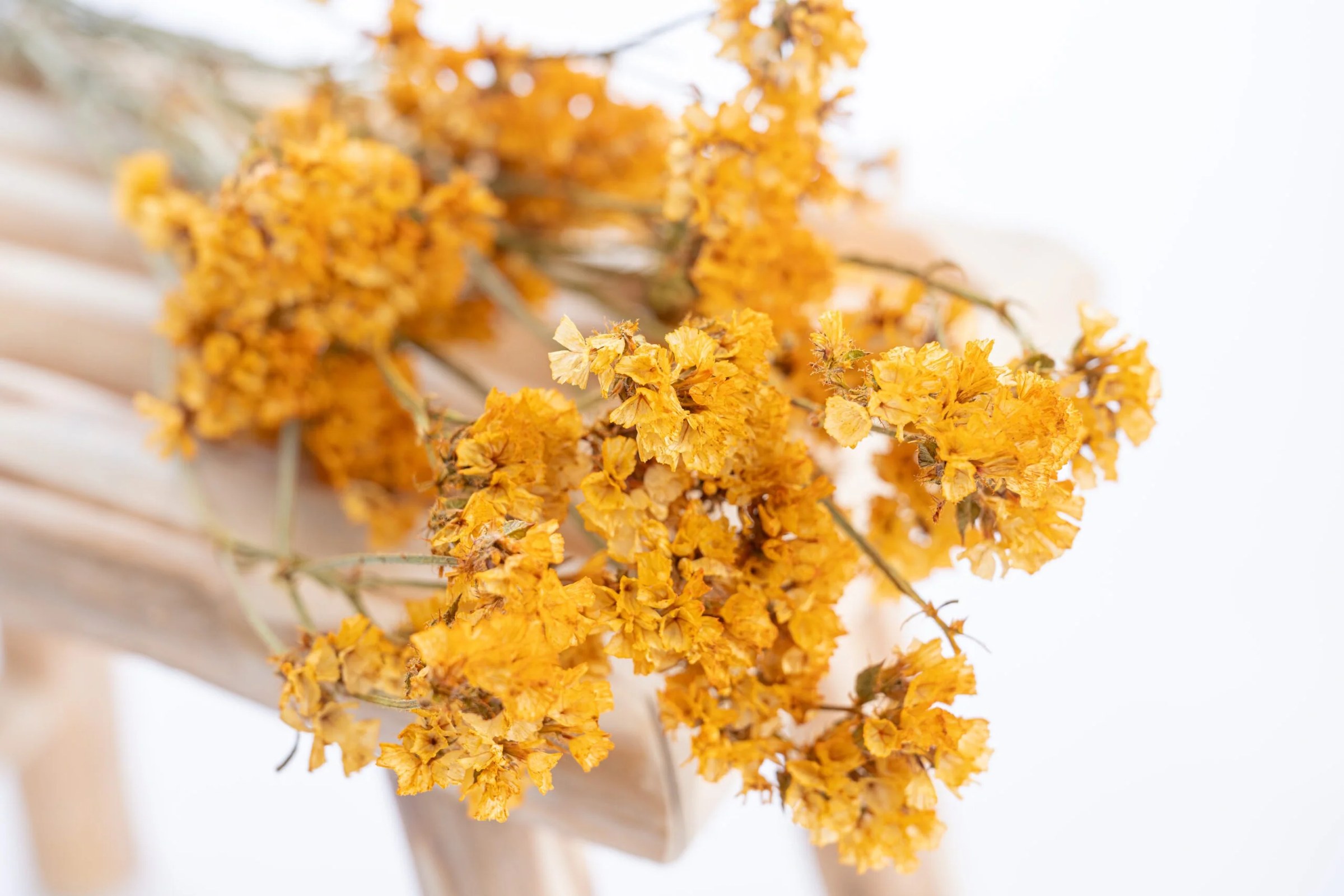 Bouquet de statice séché aux minuscules fleurs colorées