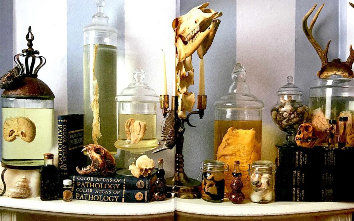 Cabinet de curiosités ancien présentant des objets rares, minéraux et spécimens naturalistes